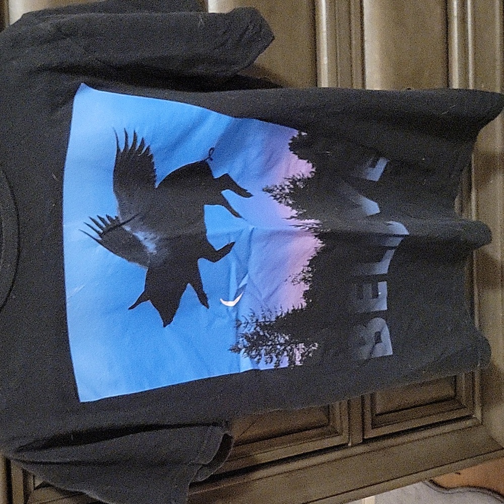 Women's/Teens "When Pigs Fly"  Black T-shirt, size medium